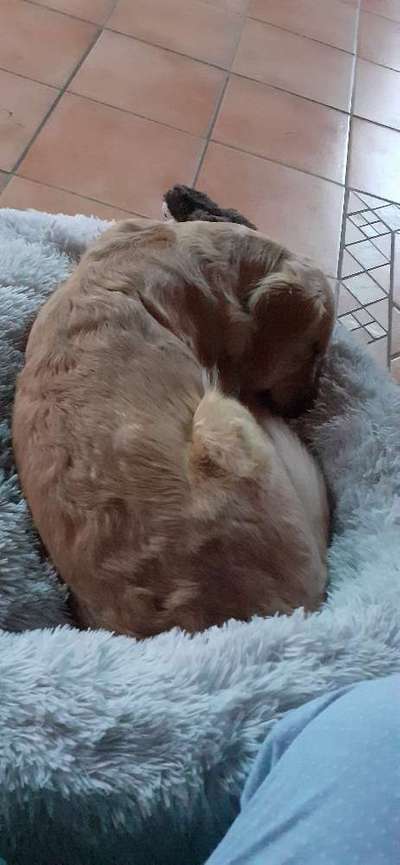 Erfahrung mit Wolkenbett-Beitrag-Bild