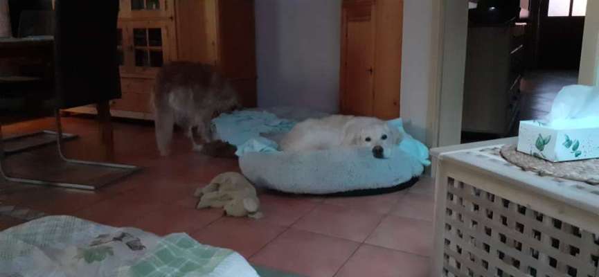 Erfahrung mit Wolkenbett-Beitrag-Bild