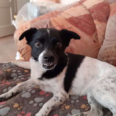 Fotochallenge Nr. 47 - Zeigt die Zähne-Beitrag-Bild