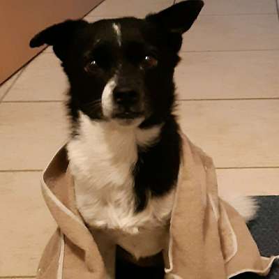 Christine's Profilbild