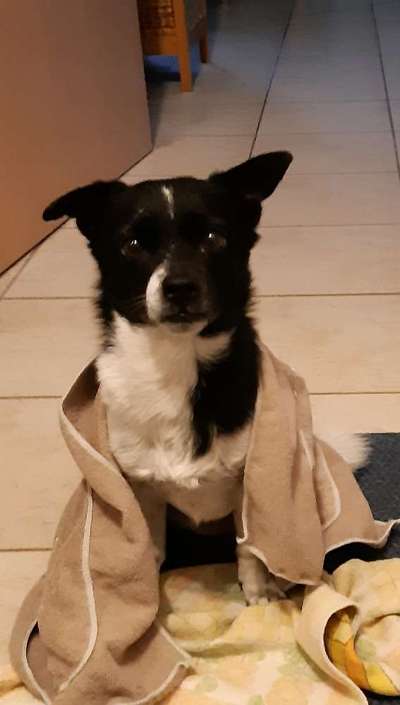 Lieblingsbild :D-Beitrag-Bild