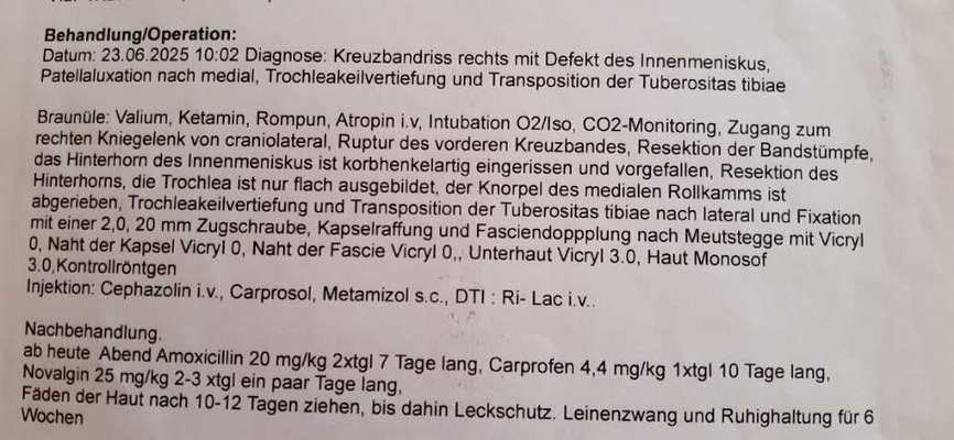 Humpeln nach Kreuzbandriß-Beitrag-Bild