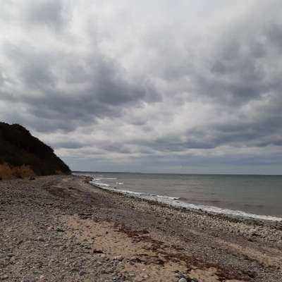 Hundeurlaub in Nienhagen-Beitrag-Bild