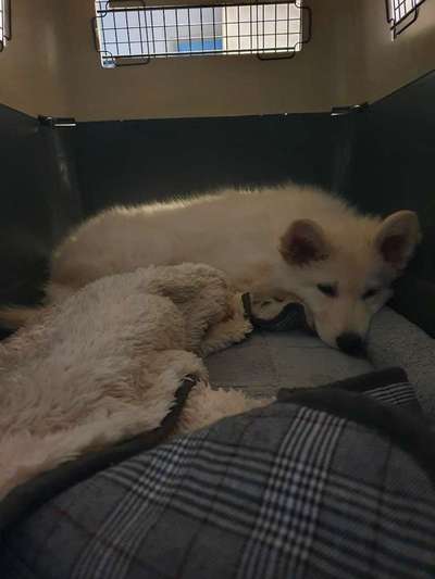 Erstes Bild-Beitrag-Bild