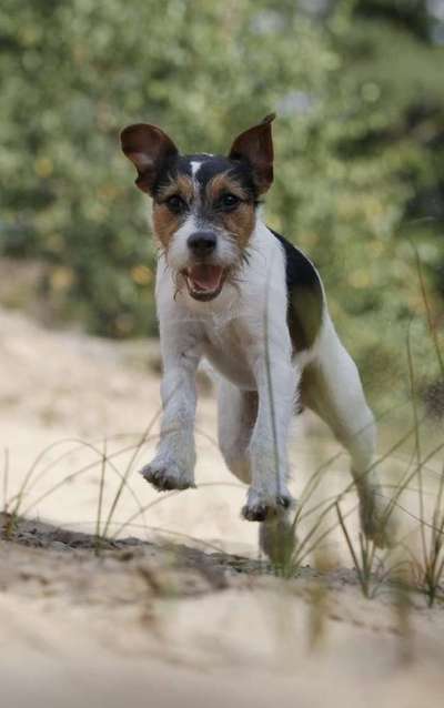 Lieblingsbild :D-Beitrag-Bild