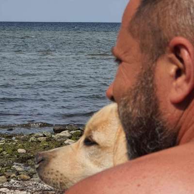 Hundetreffen-Gassirunde und spielen