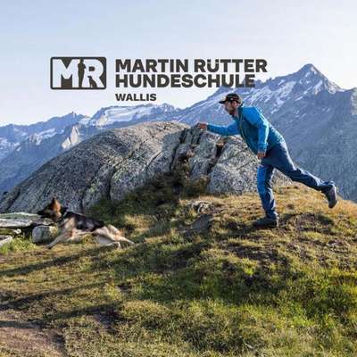 Hundeschulen-Martin Rütter Hundeschule Wallis-Bild