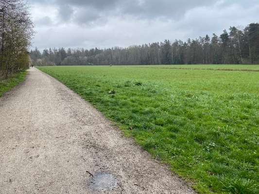 Hundeauslaufgebiet-Russenwiesse-Bild