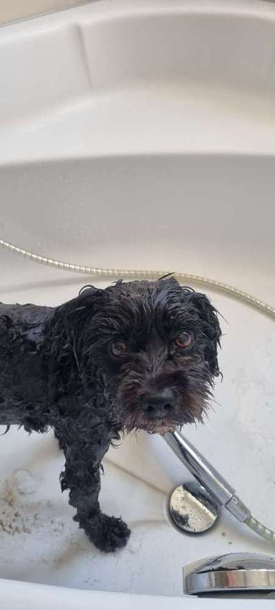 Von oben-Beitrag-Bild