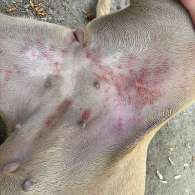 Was kann das sein-Beitrag-Bild