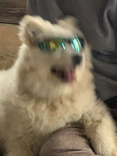 Her mit dem Grimassen-Beitrag-Bild