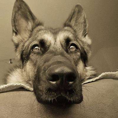 Lieblingsbild-Beitrag-Bild