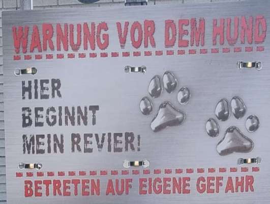 Was bringen Wesenstests?-Beitrag-Bild