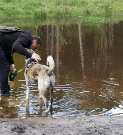 Dogorama-Monats-Challenge-Mai "Wasser"-Beitrag-Bild