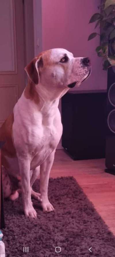 Wie groß waren eure welpen ?-Beitrag-Bild