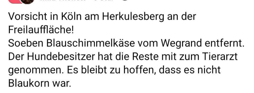 Giftköder-Blauschimmelkäse oder Blaukorn-Bild