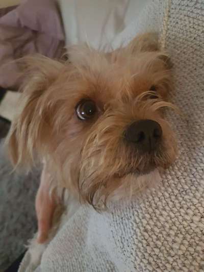 Fotochallange Nr. 57     PORTRÄT.   Beendet!!!!!!!!-Beitrag-Bild