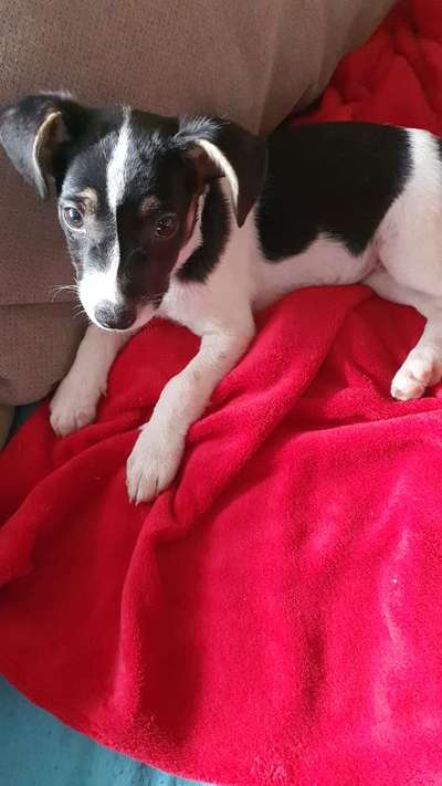 Lieblingsbild :D-Beitrag-Bild