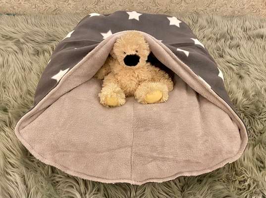 Selbstgemachte Artikel für Hunde-Beitrag-Bild