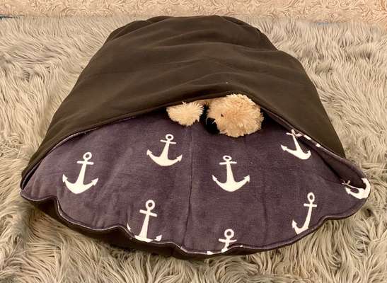 Selbstgemachte Artikel für Hunde-Beitrag-Bild