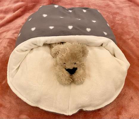 Selbstgemachte Artikel für Hunde-Beitrag-Bild