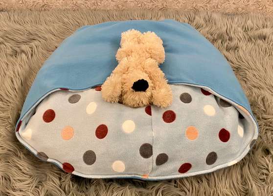 Selbstgemachte Artikel für Hunde-Beitrag-Bild