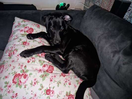 Lieblingsbild-Beitrag-Bild