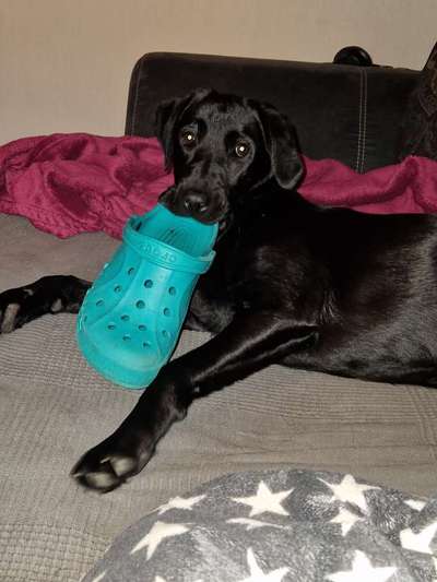 Lieblingsbild-Beitrag-Bild