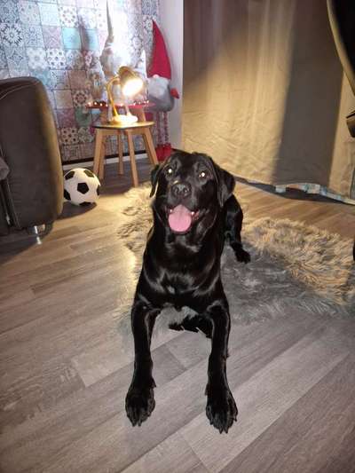 Lieblingsbild-Beitrag-Bild