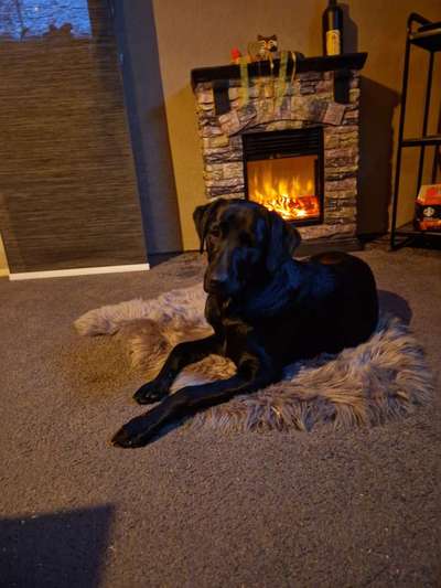 Lieblingsbild-Beitrag-Bild