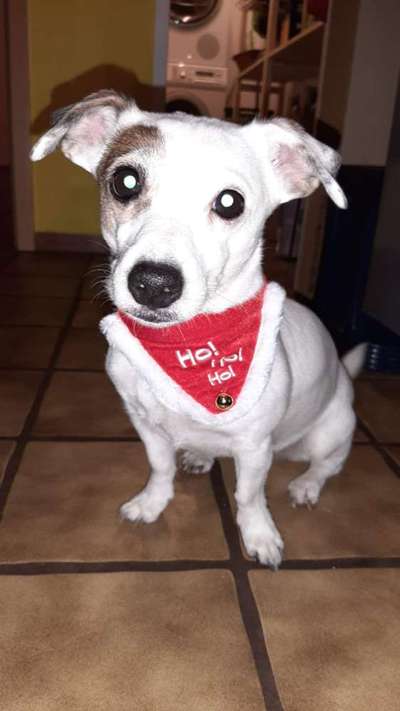 Fotochallange Nr. 57     PORTRÄT.   Beendet!!!!!!!!-Beitrag-Bild