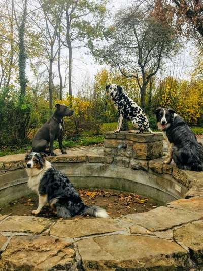 Fotochallenge No. 26                                     Wald und Wiese-Beitrag-Bild