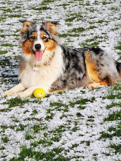 Fotochallenge No. 26                                     Wald und Wiese-Beitrag-Bild