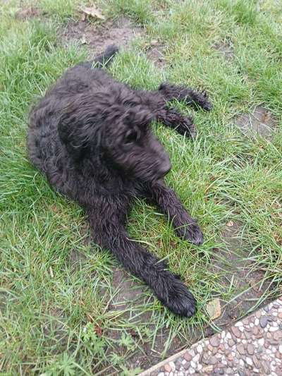 aktuelles Foto Gruppe Kostenlose Webinare, Kurse und Challenges