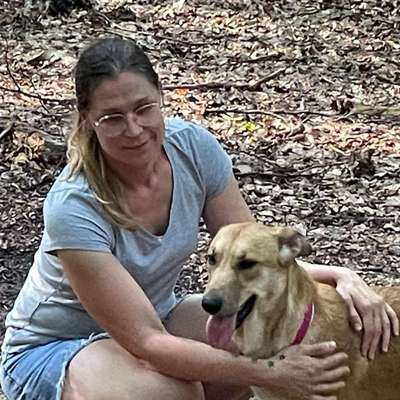 Hundetreffen-Hundetreffen zum Spielen und toben in kelkheim taunus-Profilbild