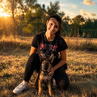 Hundetreffen-Hundewiese