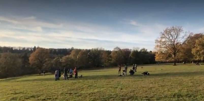 Hundeauslaufgebiet-Eichenhain-Bild