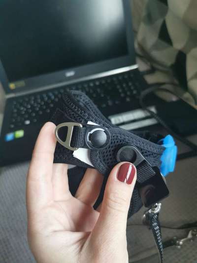 Beim Geschirr abnehmen Probleme.-Beitrag-Bild