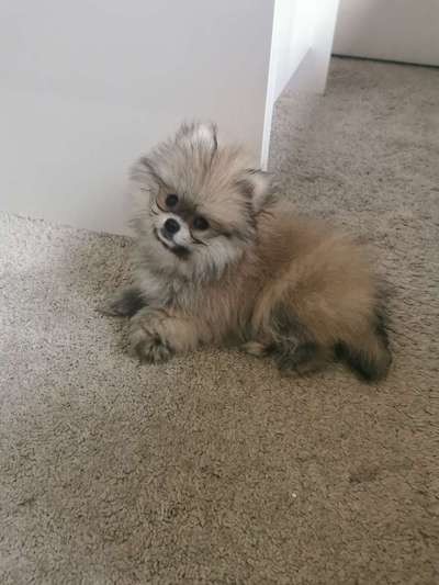 Beim Geschirr abnehmen Probleme.-Beitrag-Bild