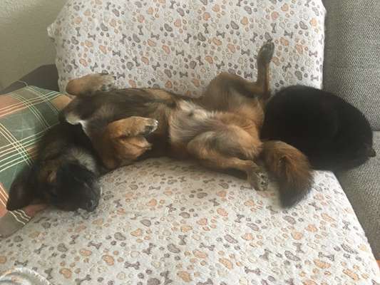 Fotochallenge Nr.65-Beitrag-Bild