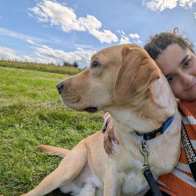 Hundetreffen-Gemeinsame Gassi-Runden-Bild