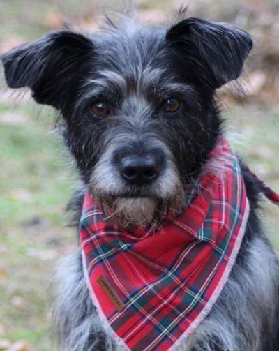 Fotochallange Nr. 57     PORTRÄT.   Beendet!!!!!!!!-Beitrag-Bild