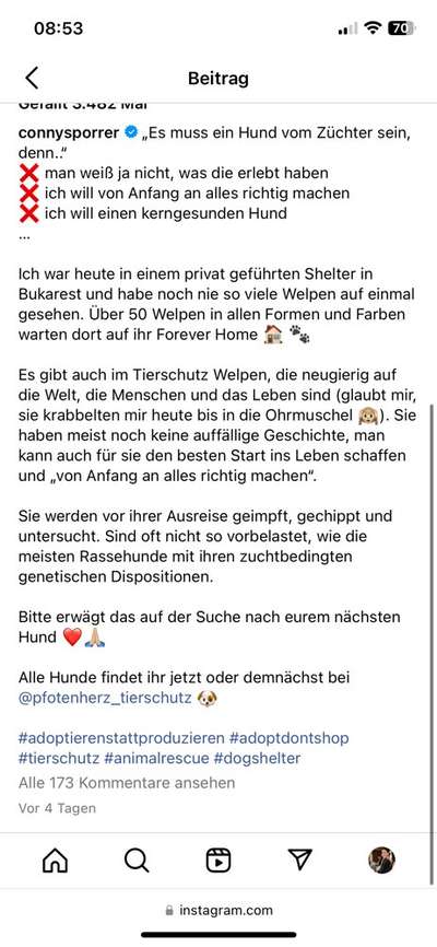 Nochmal ein Welpe ?-Beitrag-Bild