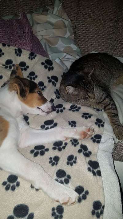 CHALLENGE Nr.17-Beitrag-Bild