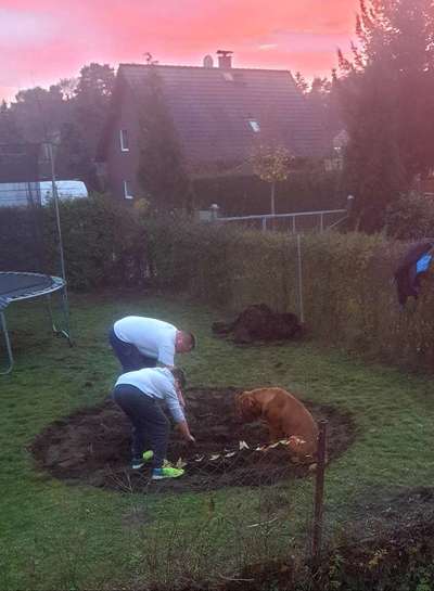 Fotochallenge 129-Beitrag-Bild