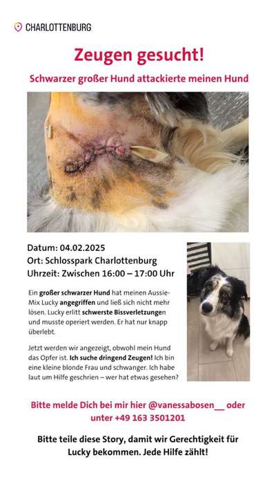 Giftköder-Freilaufender aggressiver Hund!-Bild