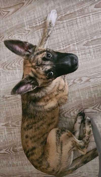 Erstes Bild-Beitrag-Bild