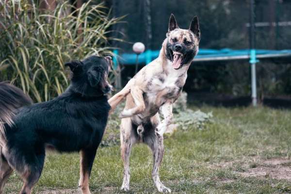 20. Handy -Foto-Callenge-Beitrag-Bild