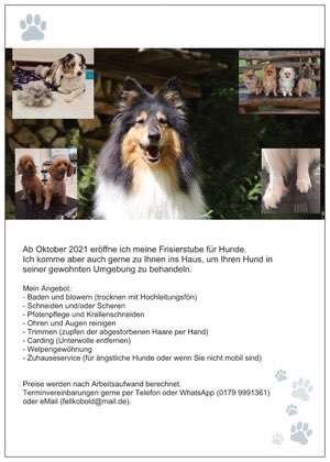 Hundefriseure-Fellkobold - Hundefriseur-Bild