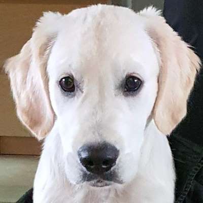 Fotochallange Nr. 57     PORTRÄT.   Beendet!!!!!!!!-Beitrag-Bild